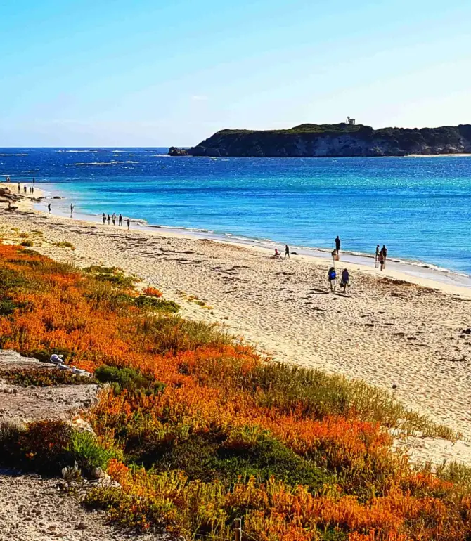 Hamelin Bay