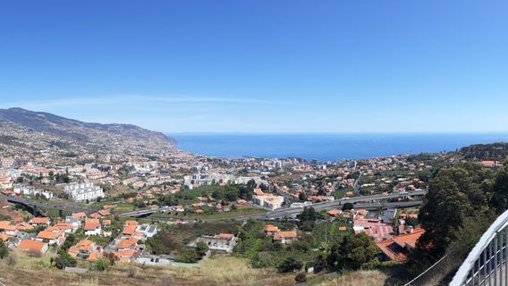 Pico dos Barcelos viewpoint