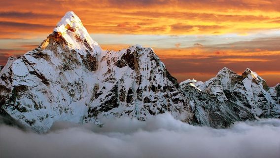 Trekking Hero - Kilimanjaro Day Hike