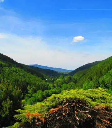 Frydek-Mistek District