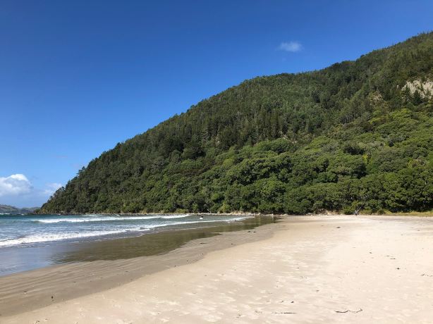 Pauanui Beach