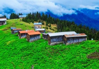 Pokut Yaylası