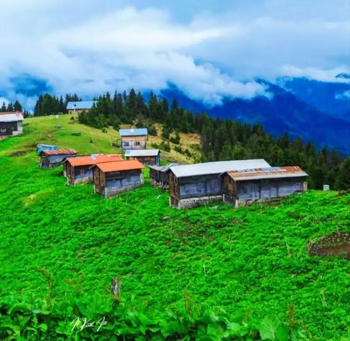 Hotels near Pokut Yaylası