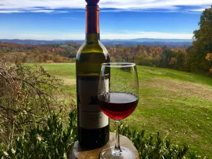 Spout Spring Estates Winery and Vineyard