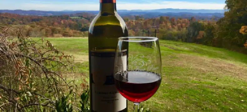 Hotels in Grainger County