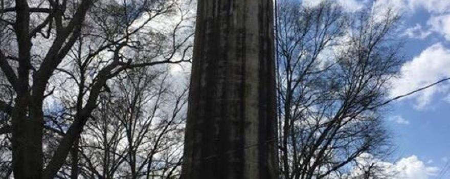 Alabama Water Tower