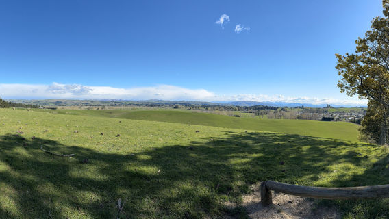 Cheviot Hills Reserve