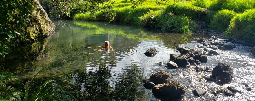 Wairakau Stream Track