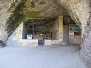 Cueva Palomera