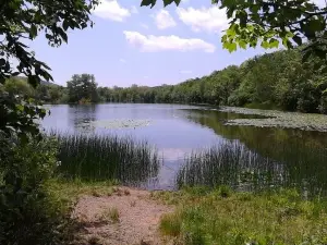 Nescopeck State Park