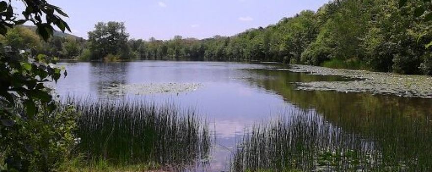 Nescopeck State Park