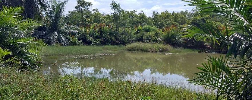 Sungai Batu Archaeological Site - Oldest Southeast Asean Civilization
