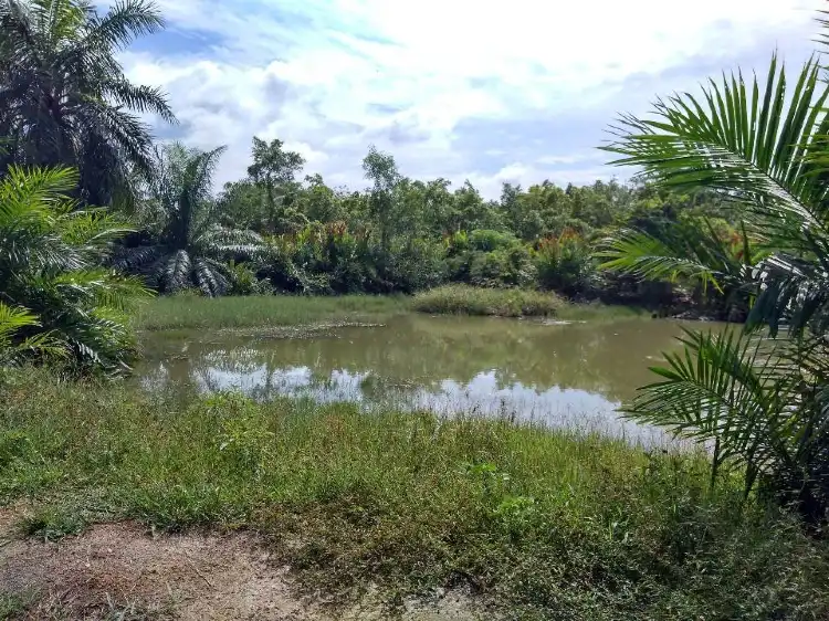 Hôtels à : Bujang