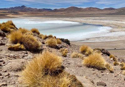 Laguna Tuyajto