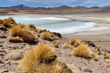 Laguna Tuyajto