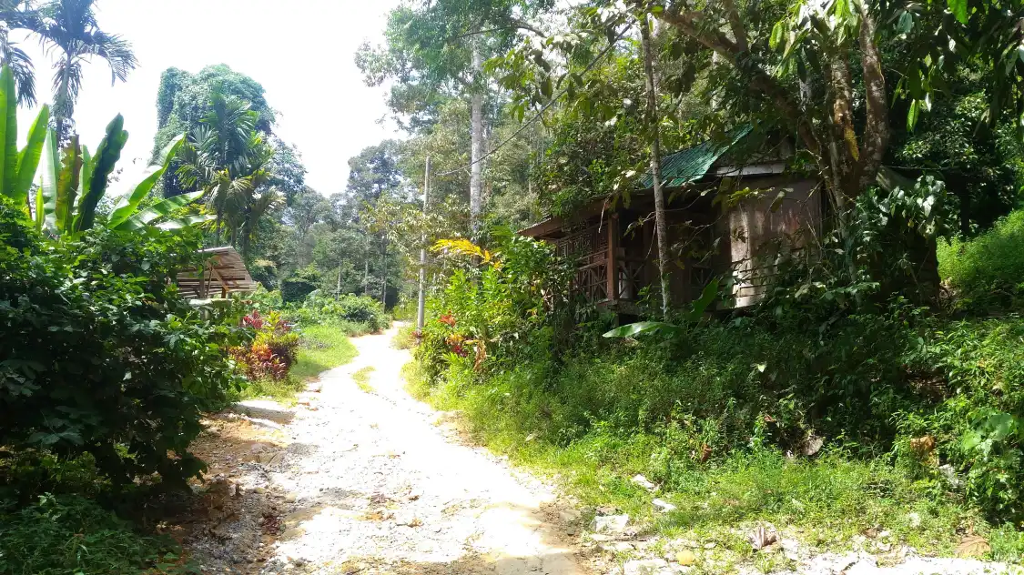 Hotels near Burmese Pool
