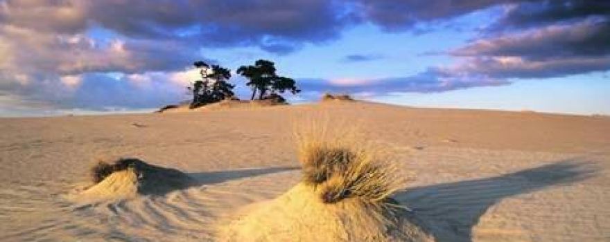 Kootwijkerzand