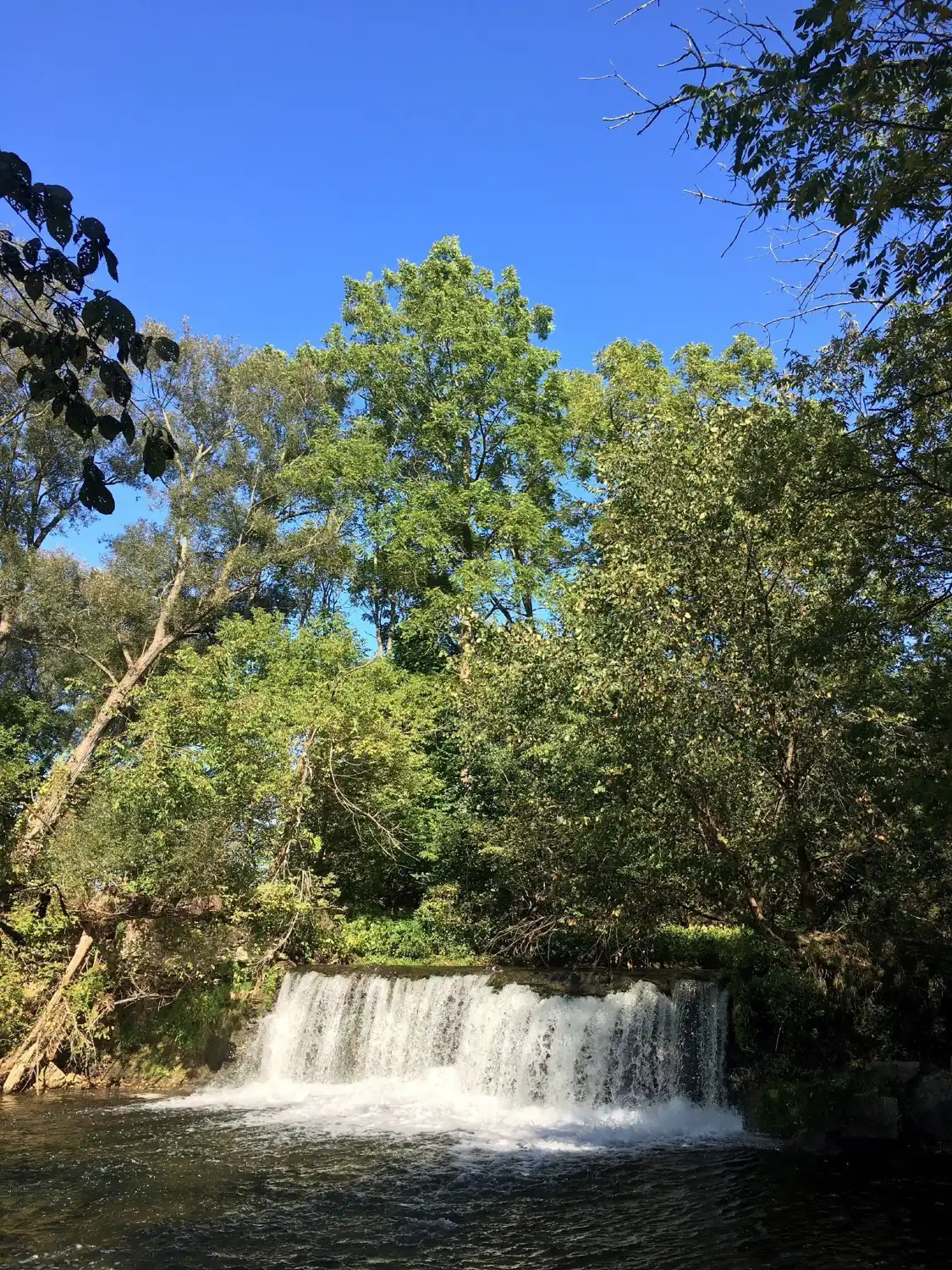 Hotels near Lynn River Falls