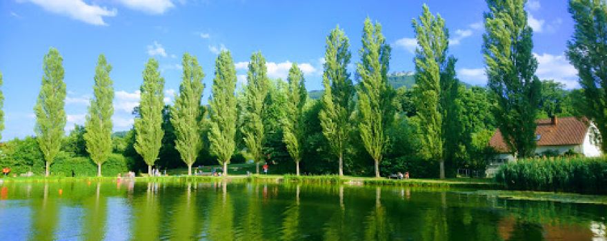 Bissinger SEE