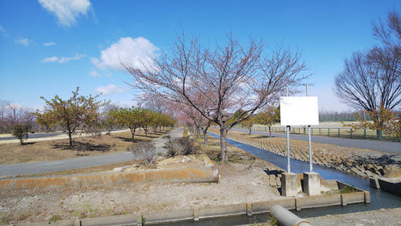 神川町営グラウンド