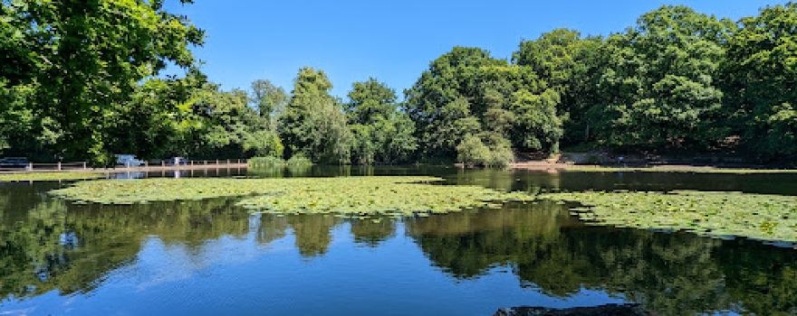 Keston Ponds