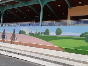 Old Racecourse Borde