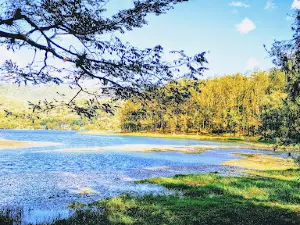 Laguna El Pino