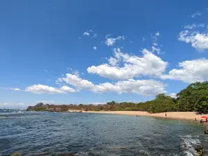 Playa Los Almendros
