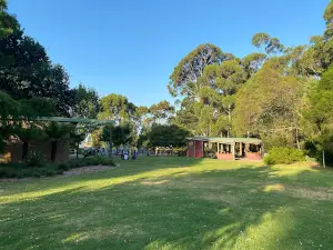 Mcindoe Park Playground