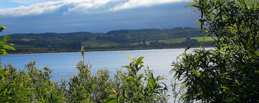 Kabutonuma Park Campground