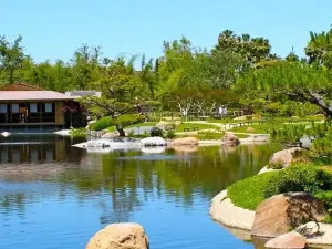 Jal vibhag