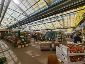Gartencenter Meckelburg