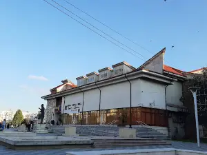 Ionel Cultural Center Perlea