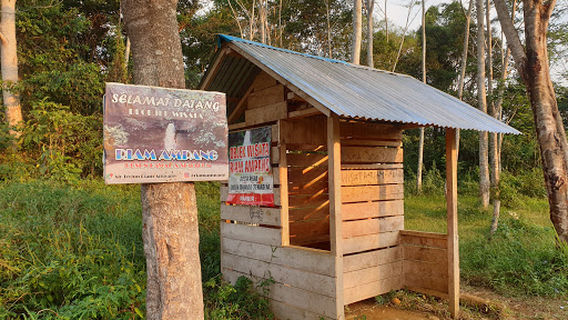 Air Terjun Riam Ampang