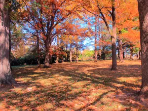 Fairview Park