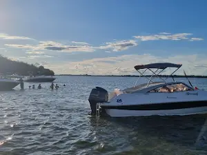 Ilha da Carioca