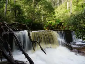 Saint Columba Falls State Reserve