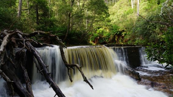 Saint Columba Falls State Reserve