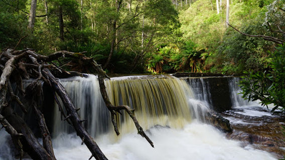 Saint Columba Falls State Reserve