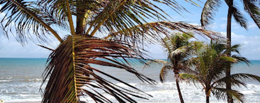Porto de Sauipe Beach