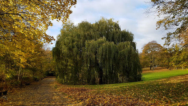 Theater im Werftpark Kiel