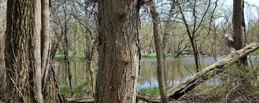 Sugar River Park and Boat Ramp