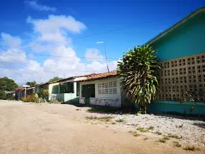Área de Relevante Interesse Ecológico Manguezais da Foz do Rio Mamanguape