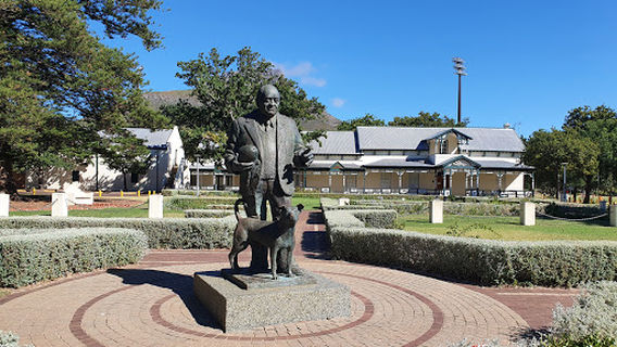 Danie Craven Stadium