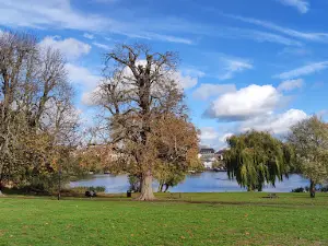 Diss Park