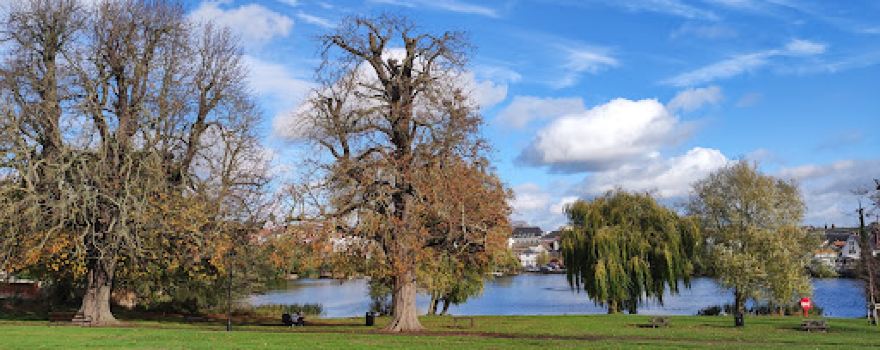 Diss Park
