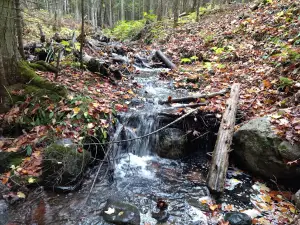 Gardener's Falls