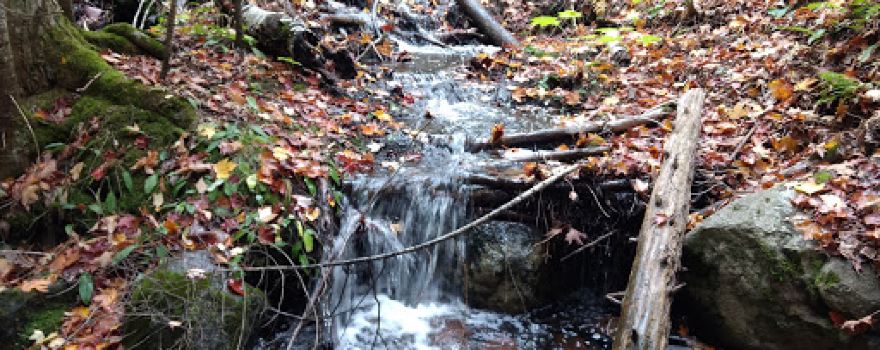 Gardener's Falls