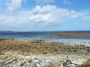 résidence de la plage trévou tréguigniec