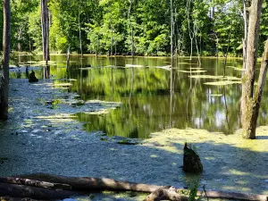 Steyer Nature Preserve